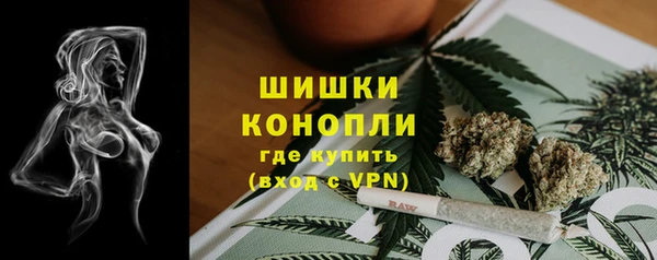 шишки Армянск