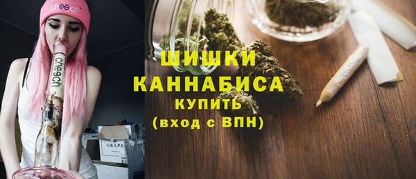 шишки Армянск