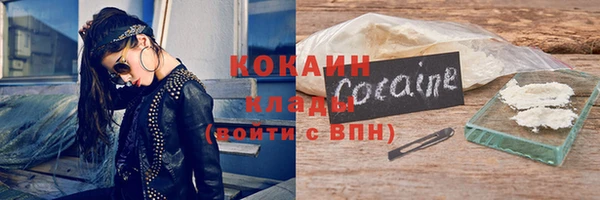 шишки Армянск