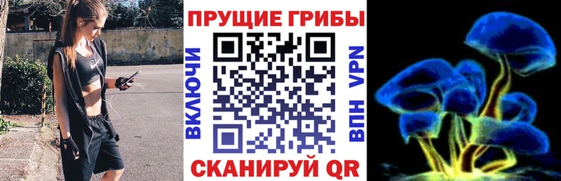 Галлюциногенные грибы Psilocybe Гдов