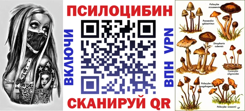 дарнет шоп  kraken рабочий сайт  Псилоцибиновые грибы прущие грибы  Гдов 